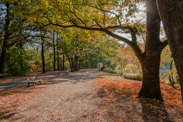 Fototapeta premium Hermann-Löns- Park Hannover