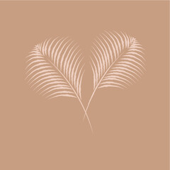 Minimal light feathers or palm branches. White color outline illustration on beige background.