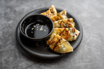 Fried potstickers with balsamic glaze covered in seeds and chives