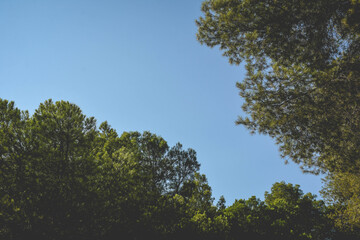 Paisajes de Andalucía (Ronda, Málaga)