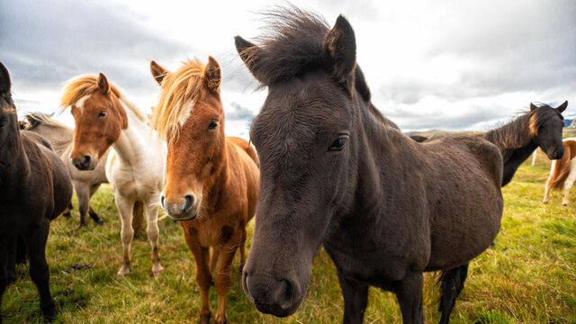รูปภาพBlacken – เลือกดูภาพถ่ายสต็อก เวกเตอร์ และวิดีโอ17,776 | Adobe Stock