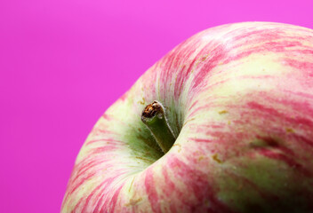 close-up of a organic and fresh apple