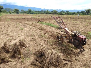tractor working in the field