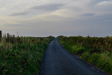 Fototapeta premium country road