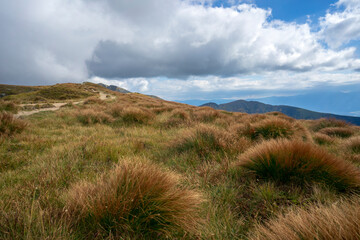 Mountain meadows in the Western Tatras.