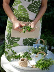 Female hands bind the fresh herbs into bouquets for drying.