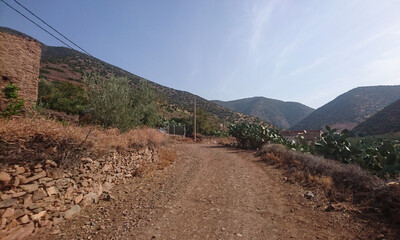 Road in the mountains 