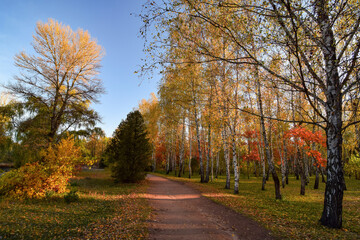Beautiful romantic alley in autumn park with colorful trees