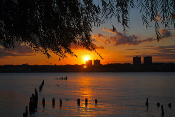 The orange sunset on the river and the trees