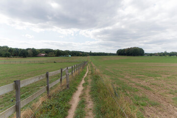 Fototapeta na wymiar An agricultural field near Groesbeek, the Netherlands