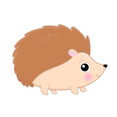 Cute cartoon hedgehog isolated. Vector.