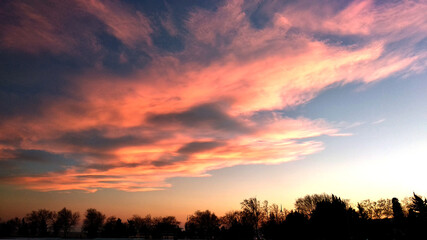 sunset in the forest