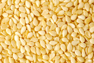 Macro photo of Raw sesame seeds texture for Superfood and diet product concept. Food background of sesame