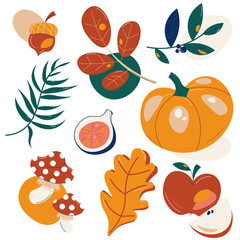 Set of traditional autumn ripe fruits, vegetables and fallen leaves