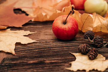 Red apple close-up on a dark wooden background with yellow maple leaves.Harvest, autumn concept,thanksgiving day concept. Copy space.

