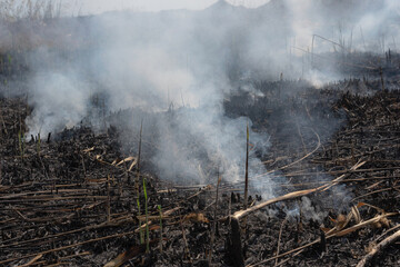 sowing field after a fire burnt earth and smoke