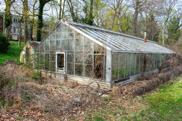 An Abandoned Glass Greenhouse Full of Dead Vines