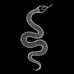 Snake sketch illustration. Vector illustration. Hand drawn illustration for t-shirt print, fabric and other uses