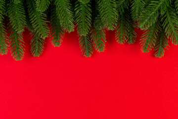 Fototapeta na wymiar Top view of green fir tree branches on colorful background. New year holiday concept with empty space for your design