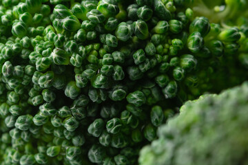 Fresh green broccoli on a white background. High quality photo