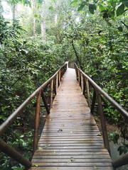 Puente naturaleza
