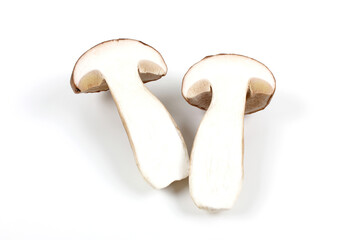 Fresh Boletus edulis (English: penny bun, porcini, king bolete or cep) isolated on white background. Close up.
