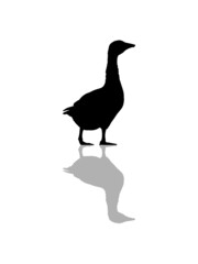 Spiegelung Gans Silhouette 