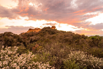 Sunset at Torey Pines State Preserve