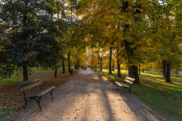 benches along the alley on a walking path at sunset in Wilanow Park Poland in autumn