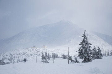 Fototapeta na wymiar Góra Śnieżka podczas śnieżycy w całej okazałości. Na zdjęciu widać schronienie tzn. schronisko Dom Śląski