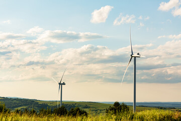 Alternative Energy. Wind farm. Aerial view of horizontal-axis wind turbines generating electricity Wind energy. Clean renewable energy technologies. Wind power plants