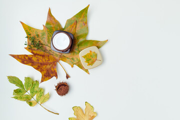 autumn background on white