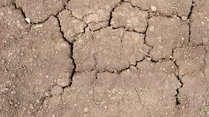 relief of a dry, lifeless gray-brown land with a web of cracks during a drought as an illustration of climate change and natural disasters