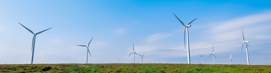 Fototapeta premium wind turbines in the field