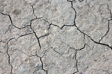 dry, soil, earth, cracked, drought, ground, texture, land, mud, desert, crack, dirt, nature, arid, abstract, clay, pattern, environment, cracks, hot, textured, sand, surface, heat, summer