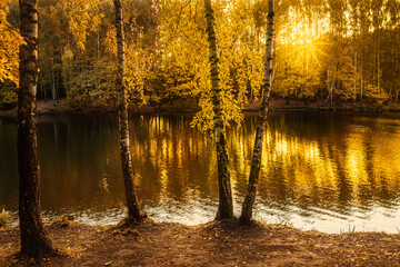 Fototapeta na wymiar landscape of golden autumn at a forest lake
