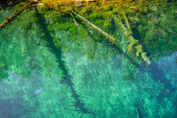 Crystal Clear and vivid colors spring water of Kitch-iti-kipi, the Big Spring at Palms Book State Park in Michigan upper peninsula