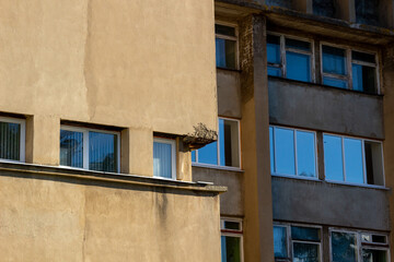 Light and shadow parts of unusual building with windows