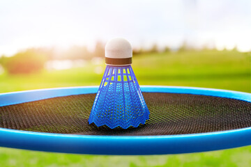 blue shuttlecock on racket in park close-up