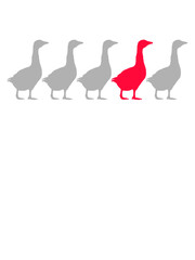 Be Different Gänse 