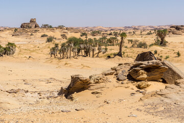 Oasis in the Sahara desert in Chad