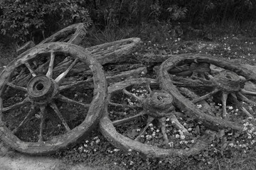 Fototapeta na wymiar Ancient iron wheels lie on the ground.