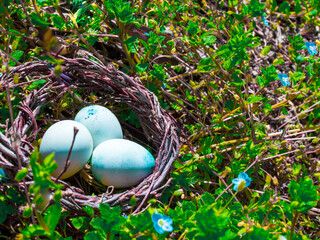Eggs in a nest in green grass. The Easter Holiday concept