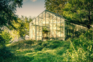 old green house with glass walls
