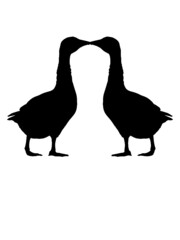 2 Gänse Pärchen 
