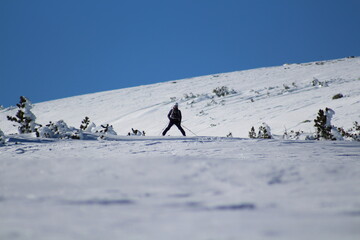 among winter sports is 
ski touring