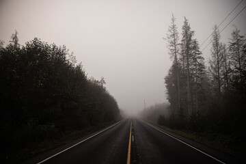 Quiet country road through a forest near Forks, Washington. Fog has rolled in creating a low visibility situation