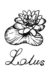 Lotus, a set of clipart illustrations of doodles, hand drawing, black and white contour isolated on a white background