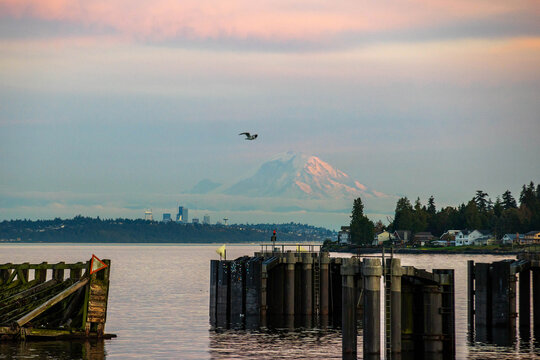 General view of Kingston, Washington ferry dock over the Puget Sound with Mount Rainier under the sunset with a pink and orange colorful sky