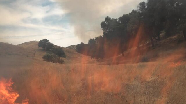 2020 - a controlled prescribed wildfire burns around a remote unmanned camera in a wilderness area in Santa Barbara County, California.